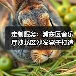 定制服务：浦东区音乐厅沙龙区沙发凳子打造（图4）