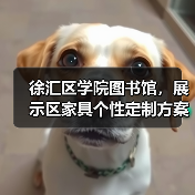 徐汇区学院图书馆，展示区家具个性定制方案（图3）