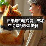 曲阳路街道专属:艺术空间异形沙发定制(图4) 曲阳路街道专属:艺术空间异形沙发定制(图4)