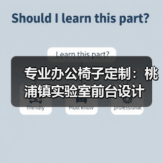 专业办公椅子定制：桃浦镇实验室前台设计（图3）