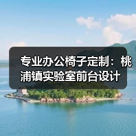 专业办公椅子定制：桃浦镇实验室前台设计