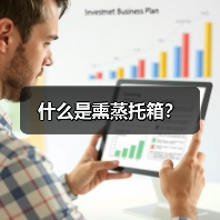 什么是熏蒸托箱？（图2）