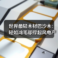 世界最轻木材巴沙木：轻如鸿毛却撑起风电产业半边天（图2）
