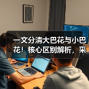 一文分清大巴花与小巴花！核心区别解析，采购避坑必看（图3）