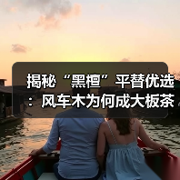 揭秘“黑檀”平替优选：风车木为何成大板茶桌高端材质新宠？（图3）