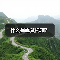 什么是熏蒸托箱？（图2）