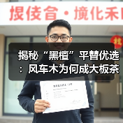 揭秘“黑檀”平替优选：风车木为何成大板茶桌高端材质新宠？