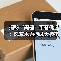 揭秘“黑檀”平替优选:风车木为何成大板茶桌高端材质新宠?(图3) 揭秘“黑檀”平替优选:风车木为何成大板茶桌高端材质新宠?(图3)