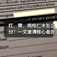 红、黄、褐榄仁木怎么分？一文厘清核心差异与应用边界