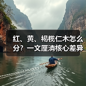 红、黄、褐榄仁木怎么分?一文厘清核心差异与应用边界(图3) 红、黄、褐榄仁木怎么分?一文厘清核心差异与应用边界(图3)