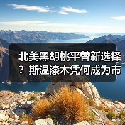 北美黑胡桃平替新选择?斯温漆木凭何成为市场新宠(图2) 北美黑胡桃平替新选择?斯温漆木凭何成为市场新宠(图2)