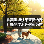 北美黑胡桃平替新选择?斯温漆木凭何成为市场新宠(图3) 北美黑胡桃平替新选择?斯温漆木凭何成为市场新宠(图3)