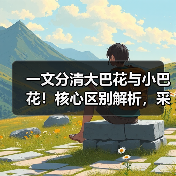 一文分清大巴花与小巴花！核心区别解析，采购避坑必看（图3）