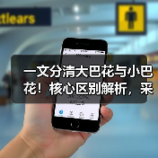 一文分清大巴花与小巴花！核心区别解析，采购避坑必看（图4）