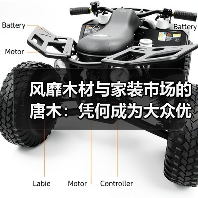 风靡木材与家装市场的唐木：凭何成为大众优选材种？（图3）