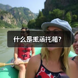 什么是熏蒸托箱?(图2) 什么是熏蒸托箱?(图2)