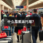 什么是熏蒸托箱?(图4) 什么是熏蒸托箱?(图4)