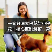 一文分清大巴花与小巴花！核心区别解析，采购避坑必看（图2）