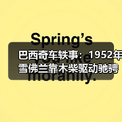 巴西奇车轶事：1952年雪佛兰靠木柴驱动驰骋半世纪（图4）