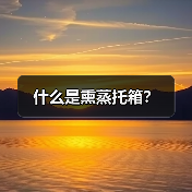什么是熏蒸托箱？