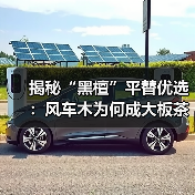 揭秘“黑檀”平替优选：风车木为何成大板茶桌高端材质新宠？（图4）