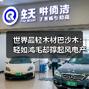 世界最轻木材巴沙木：轻如鸿毛却撑起风电产业半边天（图3）