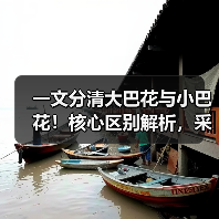 一文分清大巴花与小巴花！核心区别解析，采购避坑必看（图2）