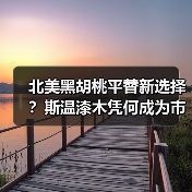 北美黑胡桃平替新选择？斯温漆木凭何成为市场新宠（图2）