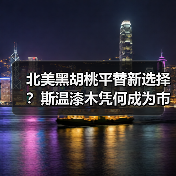 北美黑胡桃平替新选择？斯温漆木凭何成为市场新宠（图4）