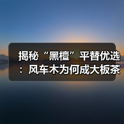 揭秘“黑檀”平替优选：风车木为何成大板茶桌高端材质新宠？（图4）