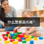 什么是熏蒸托箱？（图4）