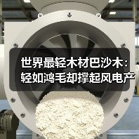 世界最轻木材巴沙木：轻如鸿毛却撑起风电产业半边天（图2）