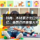 越南:木材累计出口96亿,美国仍然是最大市场,占出口量50%(图2) 越南:木材累计出口96亿,美国仍然是最大市场,占出口量50%(图2)