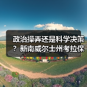 政治操弄还是科学决策?新南威尔士州考拉保护政策遭质疑(图2) 政治操弄还是科学决策?新南威尔士州考拉保护政策遭质疑(图2)