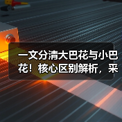 一文分清大巴花与小巴花！核心区别解析，采购避坑必看