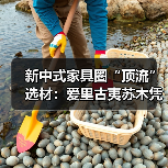 新中式家具圈“顶流”选材：爱里古夷苏木凭什么圈粉无数？