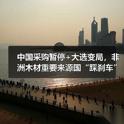 中国采购暂停+大选变局，非洲木材重要来源国“踩刹车”？