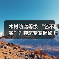 木材防腐等级 “名不副实”？建筑专家揭秘 H3 失效背后的设计危机（图3）