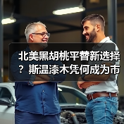 北美黑胡桃平替新选择？斯温漆木凭何成为市场新宠