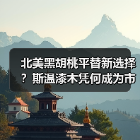 北美黑胡桃平替新选择？斯温漆木凭何成为市场新宠（图4）