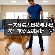 一文分清大巴花与小巴花！核心区别解析，采购避坑必看（图2）