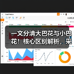 一文分清大巴花与小巴花！核心区别解析，采购避坑必看（图3）