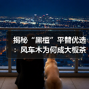 揭秘“黑檀”平替优选：风车木为何成大板茶桌高端材质新宠？（图4）
