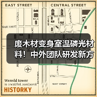 废木材变身室温磷光材料！中外团队研发新方法，开辟防伪、建筑等新应用（图3）