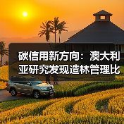 碳信用新方向：澳大利亚研究发现造林管理比保护更能固碳（图2）