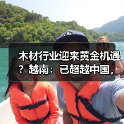 木材行业迎来黄金机遇？越南：已超越中国，考虑在美建厂