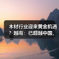 木材行业迎来黄金机遇？越南：已超越中国，考虑在美建厂（图2）