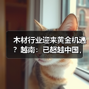 木材行业迎来黄金机遇？越南：已超越中国，考虑在美建厂（图4）