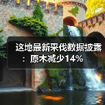 这地最新采伐数据披露：原木减少14%
