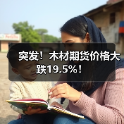 突发！木材期货价格大跌19.5%！（图4）